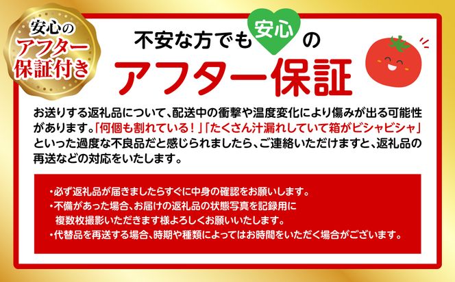 【先行予約】まるで フルーツ の様な ミニトマト 1.8kg トマト 甘い 国産 野菜 やさい サラダ 【2026年1月上旬より順次発送】