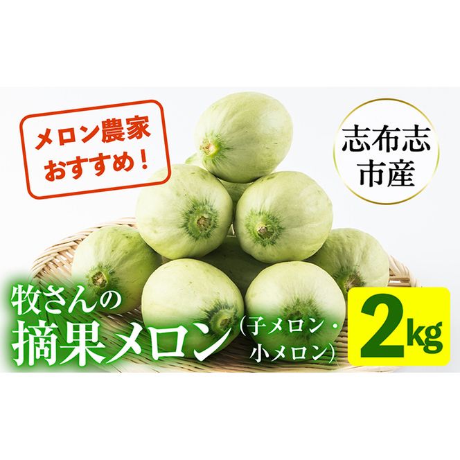 【期間限定・数量限定】鹿児島県志布志産 摘果メロン(子メロン・小メロン) 2kg p8-115-10 