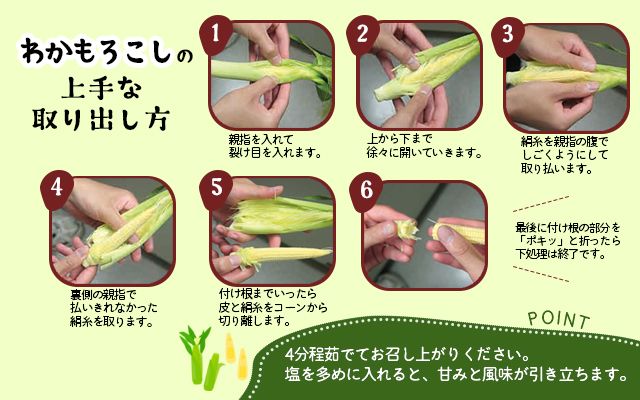 《期間限定》北海道 士幌産 わかもろこし 25本 セット (2026年7月中旬～発送開始予定) 皮付き 甘い ヤングコーン 十勝産 トウモロコシ とうもろこし 新鮮 野菜 産地直送 産直 お取り寄せ 送料無料 十勝 士幌町【L28】