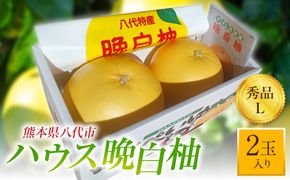 【先行予約】ハウス晩白柚 秀品Lサイズ 2玉入り ばんぺいゆ 柑橘 果物 果実 くだもの フルーツ 特産品 熊本県 八代市 【2026年12月中旬より順次発送】