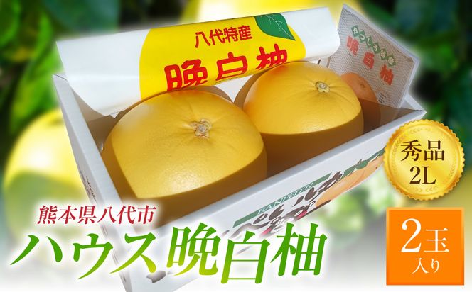 【先行予約】ハウス晩白柚 秀品2Lサイズ 2玉入り ばんぺいゆ 柑橘 果物 果実 くだもの フルーツ 特産品 熊本県 八代市 【2026年12月中旬より順次発送】