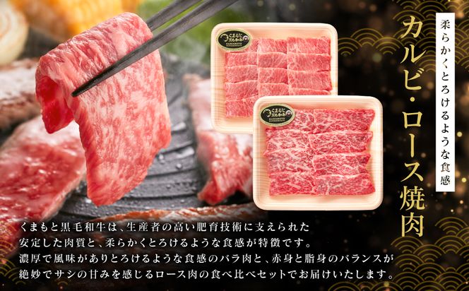 くまもと黒毛和牛 カルビ・ロース焼肉食べ比べセット（お肉ソムリエ開発焼肉のたれ付）