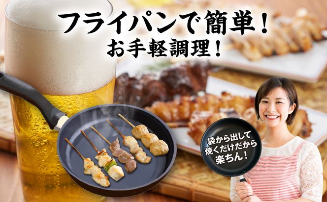 【定期便3回】やきとり5種 30本セット 期間合計90本 国産 鶏肉 串 九州産 冷凍 小分け ねぎま とろ もも 砂肝 つくね