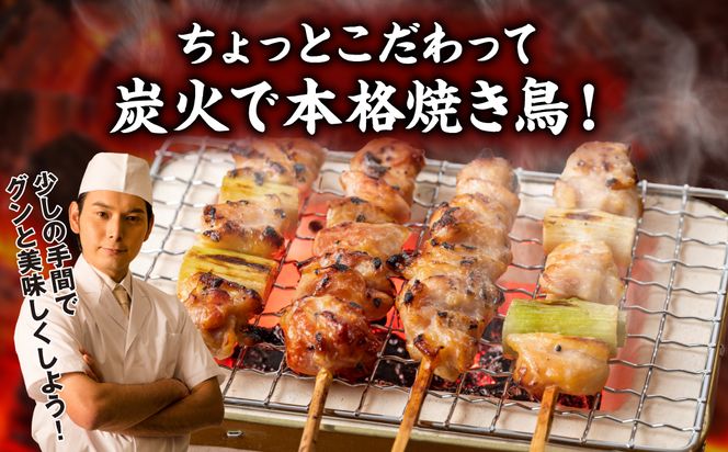 【定期便3回】 やきとり5種 60本セット 期間合計180本 焼き鳥 国産 鶏肉 串 九州産 冷凍 小分け ねぎま とろ もも 砂肝 つくね