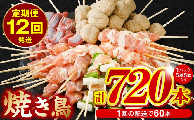 【12回定期便】やきとり5種 60本セット (期間合計720本) 焼き鳥 国産 鶏肉 串 九州産 冷凍 小分け ねぎま とろ もも 砂肝 つくね