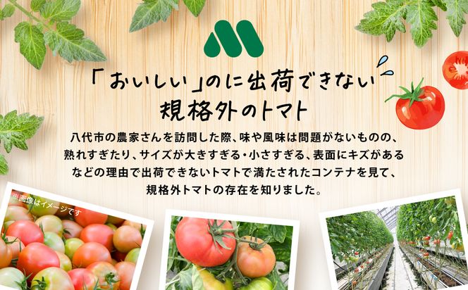 モスバーガー厳選 規格外トマトのスパイシーチキンカレー 冷凍 調理済み 食品 熊本県 八代市 コラボ
