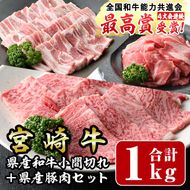 宮崎牛と宮崎県産豚肉セット(合計1kg)宮崎牛肩ロース焼肉(300g)宮崎県産豚バラ焼肉(500g)宮崎県産和牛小間切れ(100g×2)国産 宮崎県産 牛肉 お肉 黒毛和牛 焼肉 やきにく しゃぶしゃぶ すき焼き 炒めもの 冷凍【R-57】【ミヤチク】