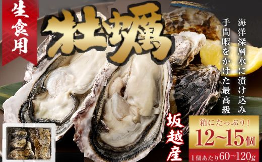 牡蠣 プレミアムオイスタ― 生食用 殻付き牡蠣 旅する牡蠣 坂越 12〜15個入り 室戸海洋深層水 生食用 生食 生ガキ 生食用カキ カキ 牡蠣 かき 魚貝類 冷蔵 先行予約 16000円 送料無料 ak002!