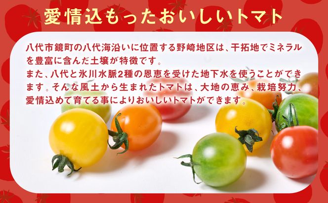 カラーミニトマト1kg トマト とまと ミニトマト プチトマト 野菜 やさい 旬の野菜 新鮮な野菜 地元産野菜 旬のやさい 新鮮なやさい ご当地 国産 特産品 お取り寄せ ギフト プレゼント 家庭用 食卓