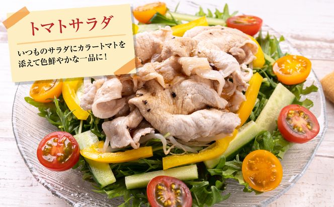 カラーミニトマト1kg トマト とまと ミニトマト プチトマト 野菜 やさい 旬の野菜 新鮮な野菜 地元産野菜 旬のやさい 新鮮なやさい ご当地 国産 特産品 お取り寄せ ギフト プレゼント 家庭用 食卓