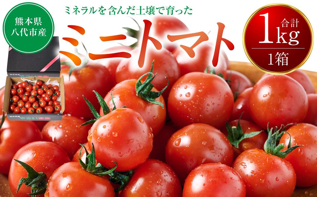 [先行予約] ミニトマト1kg トマト とまと ミニトマト プチトマト 野菜 やさい 旬の野菜 新鮮な野菜 地元産野菜 旬のやさい 新鮮なやさい ご当地 [2025年11月中旬より順次発送]