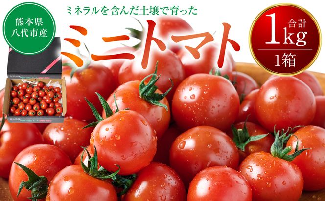 ミニトマト1kg トマト とまと ミニトマト プチトマト 野菜 やさい 旬の野菜 新鮮な野菜 地元産野菜 旬のやさい 新鮮なやさい ご当地 国産 特産品 お取り寄せ ギフト プレゼント 家庭用 食卓 
