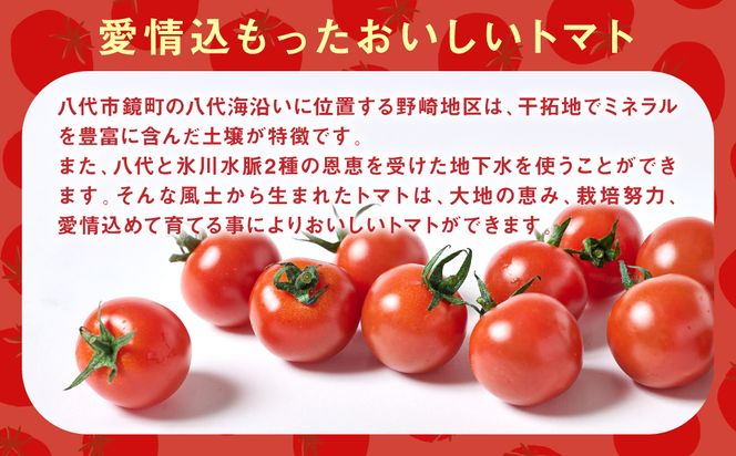 ミニトマト1kg トマト とまと ミニトマト プチトマト 野菜 やさい 旬の野菜 新鮮な野菜 地元産野菜 旬のやさい 新鮮なやさい ご当地 国産 特産品 お取り寄せ ギフト プレゼント 家庭用 食卓 