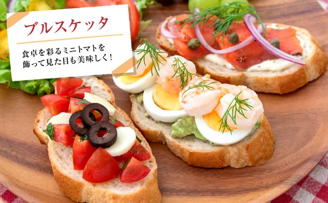 ミニトマト1kg トマト とまと ミニトマト プチトマト 野菜 やさい 旬の野菜 新鮮な野菜 地元産野菜 旬のやさい 新鮮なやさい ご当地 国産 特産品 お取り寄せ ギフト プレゼント 家庭用 食卓 