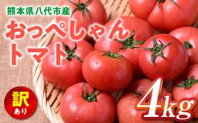【先行予約】 訳あり おっぺしゃんトマト 4kg トマト とまと 野菜 やさい 旬の野菜 地元産野菜 特産品 お取り寄せ 家庭用 食卓 【2025年11月上旬より順次発送】