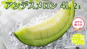 【 お中元 熨斗 付 】 アンデスメロン 4L × 2玉  【2026年7月より発送開始 】 田舎の頑固おやじが厳選 ！  メロン お中元 ギフト 高糖度 大玉 甘い 美味しい フルーツ ［BI254-NT］