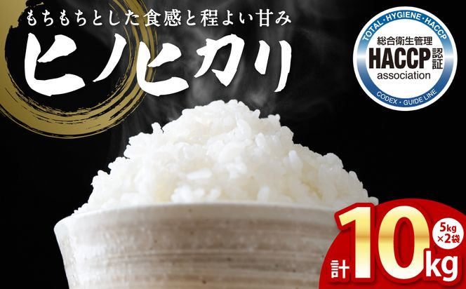 yF{szys\zsߘa7NYt qmqJ 5kg×2 v10kg F{ sY     Y y2025N11{菇z