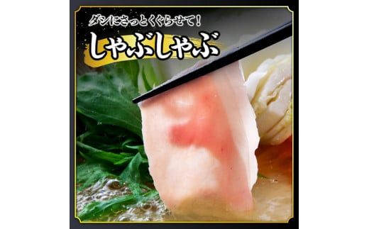 豚肉 【令和8年2月発送】宮崎県産豚ロースしゃぶしゃぶ 2.5kg (500g×5) 【 豚肉 豚 肉 国産 うす切り スライス 】 ☆[C00661r802]