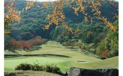 ゴルフ優待プレー補助利用券(春日居ゴルフ倶楽部)5000円分 009-001