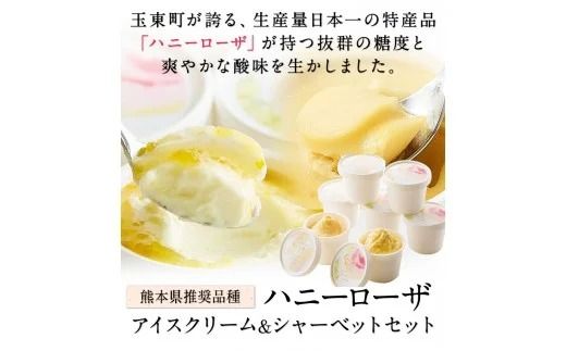 ハニーローザアイスクリーム＆ハニーローザシャーベット 120ml×各4個《30日以内に出荷予定（土日祝除く）》 熊本県玉東町 すもも ハニーローザ アイス ぷらっとぎょくとう抜群の糖度と爽やかな酸味♪---sg_fhiceset_30d_24_14000_120mlx8---