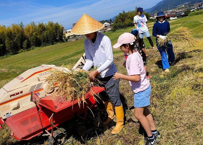 自然栽培米 キヌヒカリ 玄米 25kg　京都府・亀岡産 令和5年産 栽培期間中農薬不使用  亀岡オーガニックアクションがお届け ※離島への配送不可