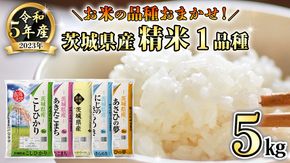 【 先行予約 2024年5月中旬以降発送 】 令和5年産 茨城県産米 品種 おまかせ 5kg ( 5kg × 1袋 ) コシヒカリ あきたこまち ミルキークイーン にじのきらめき あさひの夢 精米 お楽しみ おたのしみ 茨城 [AK026ya]