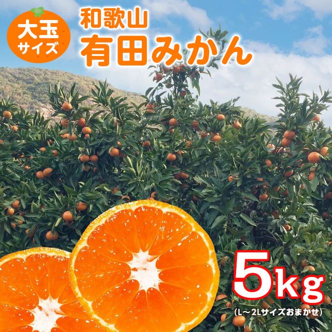 【ご家庭用】和歌山有田みかん約5kg(L、2Lサイズ)【美浜町】 ※2023年10月下旬頃～2024年1月中旬頃に順次発送予定 ※北海道・沖縄・離島への配送不可