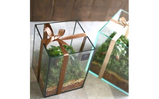 D041 モダンインテリアやギフトに「花うるるのテラリウムSサイズ」（ジオラマ人形おまけ付）