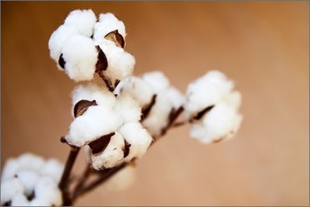 天然繊維　手作り　オーガニックコットン肌掛けふとん　HT00001