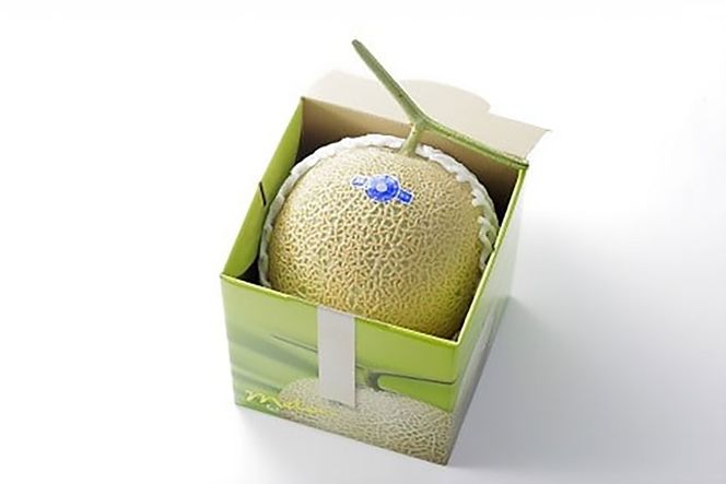 【期間限定発送】AB010 その道一筋の生産者がじっくり丁寧に育てた マスクメロン 1玉入