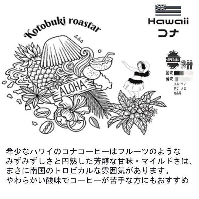 最高級スペシャルビーンズ 厳選3種《 焙煎豆 焙煎 コーヒー 珈琲 》【2402G11701】