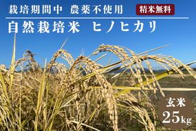 自然栽培米 ヒノヒカリ 玄米 25kg　京都府・亀岡産 令和6年産 栽培期間中農薬不使用  ※離島への配送不可