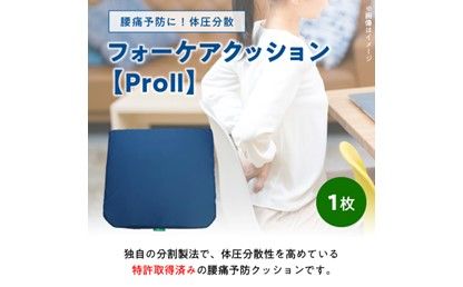 【R11003】腰痛予防に！体圧分散 フォーケアクッションProⅡ