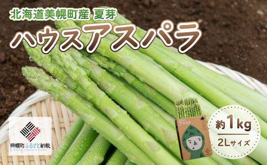 【先行予約】2026年産 ハウスアスパラ(夏芽)2Lサイズ 約1kg【配送不可地域：離島】（2026年7月1日より順次発送）BHRG016