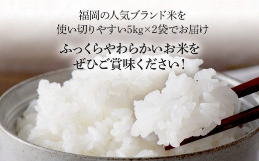 福岡県産ブランド米「夢つくし」無洗米　計10kg