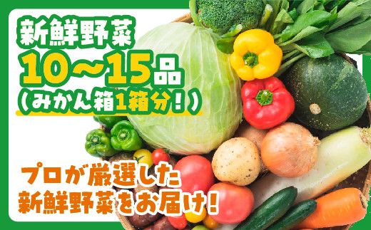 D196 ぶちうま！山口の新鮮お野菜BOX