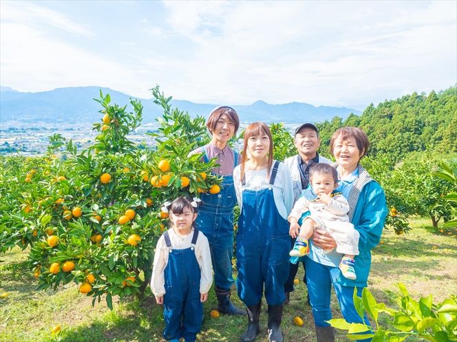 192-2624　＜品種厳選＞こだわりの早生みかん　10キロ＜2024年10月1日出荷開始～2024年12月10日出荷終了＞【 みかん 神奈川県 小田原市 】