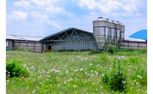 富士ケ嶺ポーク【しゃぶしゃぶ用】1kg FAB005