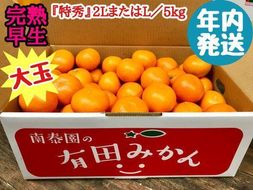 年内発送 完熟早生 有田みかん 大玉 特秀 2L または L サイズ 5kg 和歌山 南泰園 みかん BS629