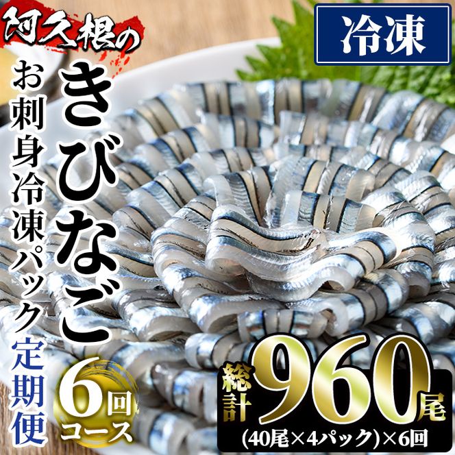 ＜定期便・全6回(冷凍便)＞鹿児島県産！阿久根のきびなごお刺身セット(計960尾・40尾×4P×6回)冷凍 魚介類 海鮮 魚 きびなご キビナゴ 刺身 さしみ 刺し身 青魚 子魚 小分け【椎木水産】a-68-1