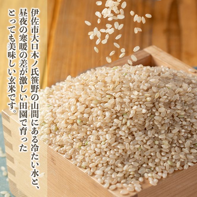 isa533 令和5年産 伊佐のおいしい棚田米〈玄米〉 ヒノヒカリ(計6kg・2kg×3袋)【薩摩美食倶楽部】