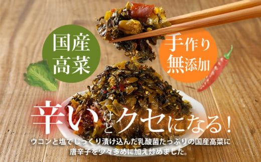 辛子高菜 240g×1パック 山賊の高菜 からし高菜 メール便 ポッキリ お米に合う ご飯のお供 おつまみ 国産 無添加 お取り寄せ 福岡 お土産 九州 グルメ 福岡県