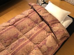 【訳あり】【柄おまかせ】羽毛掛けふとん（シングル：150㎝×210㎝）イングランド産ホワイトダウン90％　　[山梨 甲斐市 羽毛ふとん 布団 寝具]　BZ-26