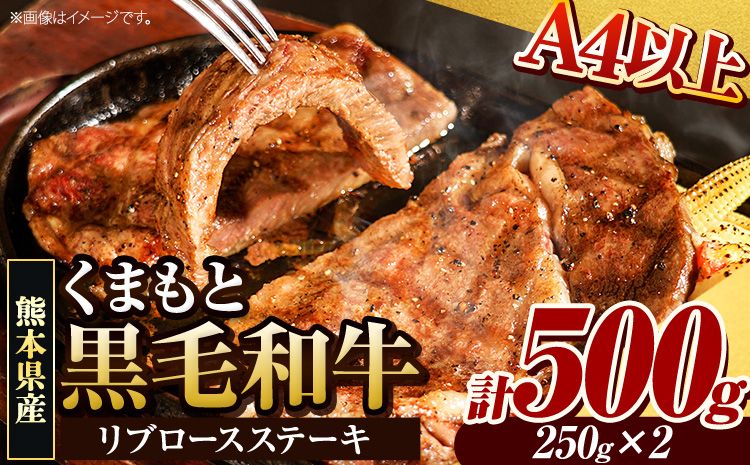 くまもと黒毛和牛 リブロースステーキ 500g ( 250g x 2枚 ) 牛肉 冷凍 [30日以内に出荷予定(土日祝除く)(土日祝除く)] くまもと黒毛和牛 黒毛和牛 冷凍庫 個別 取分け 小分け 個包装 ステーキ肉 にも リブロースステーキ---gkt_fribu_30d_24_18000_500g---