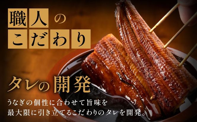 うなぎ蒲焼き4尾セット(約250g×4尾セット)【魚住商店】_HA1494