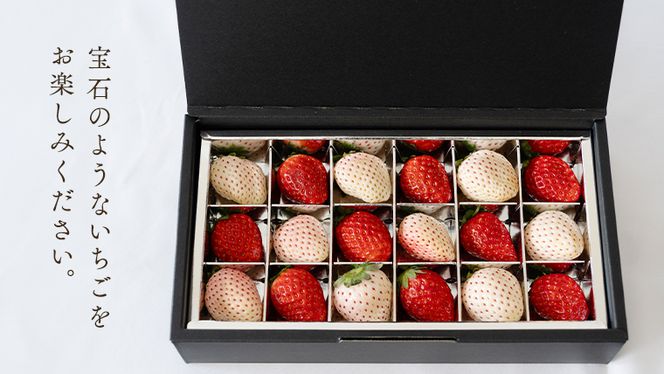 【 お歳暮 熨斗付 】赤いちごと白いちごの宝石箱 18粒【12月から発送開始】（茨城県共通返礼品 [いちご]：城里町産）いちご 苺 イチゴ 白いちご 白イチゴ 宝石箱 