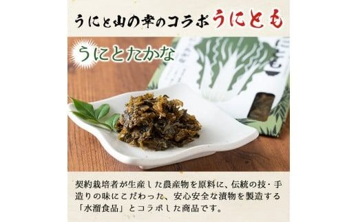 ＜鹿児島県産うに使用＞ご飯のお供「うにとも」うにとたかな(50g×4袋)国産 ウニ 雲丹 高菜 おかず 惣菜 常温【尾塚水産】akn004-07