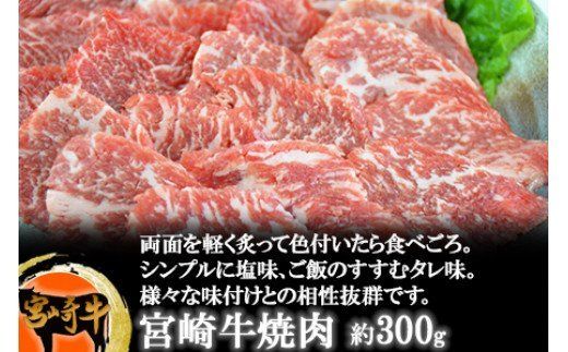 ＜宮崎牛のセットB＞翌月末迄に順次出荷【a0147_sb】