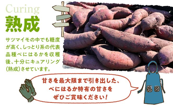 サイズバラバラ熟成べにはるか（生芋）土付き 5kg　K270-001