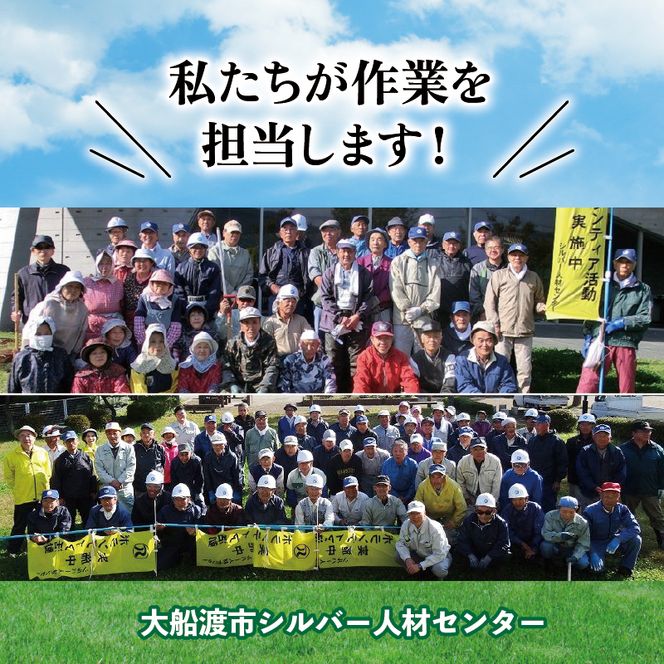 大船渡市 お墓 お掃除サービス 1回分 お掃除代行 お墓参り [56500239]